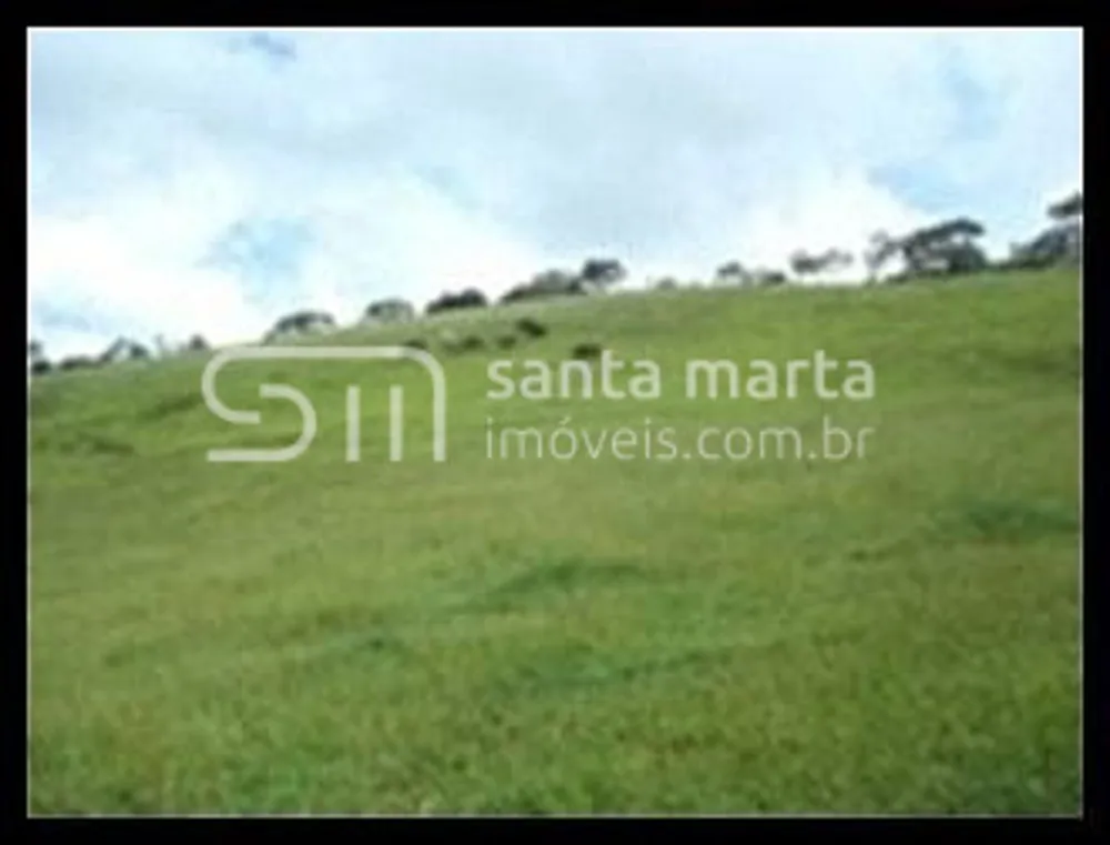 Fazenda, 97 hectares - Foto 1