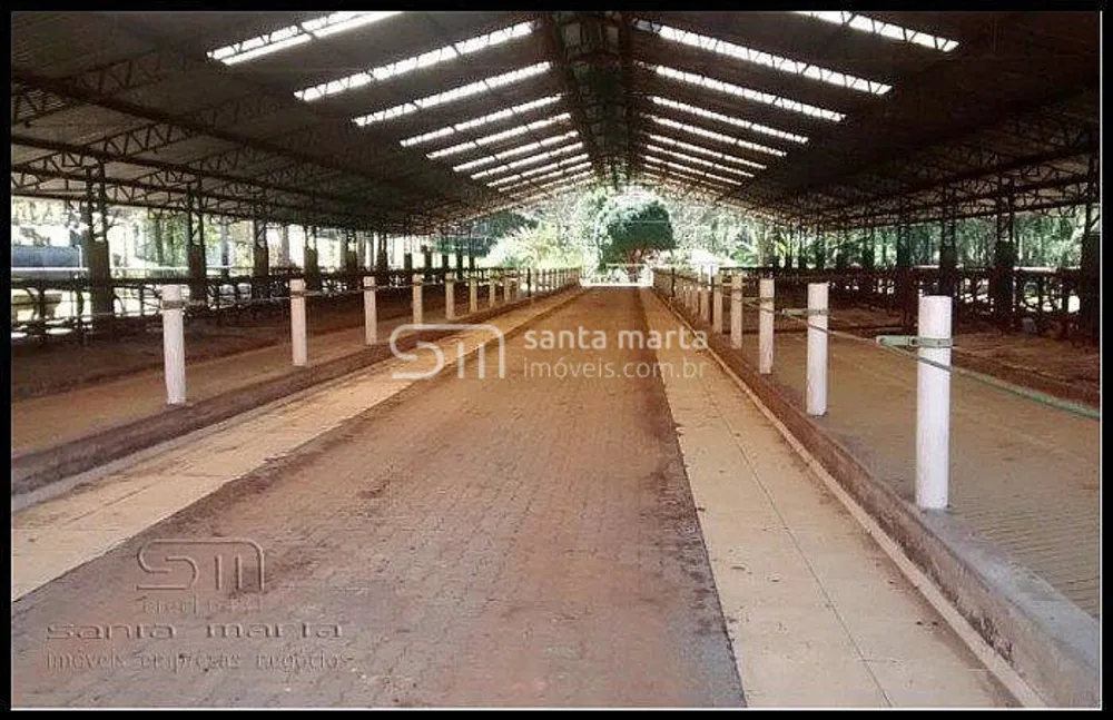 Fazenda, 317 hectares - Foto 2