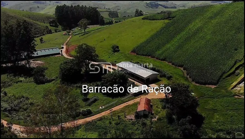 Fazenda, 317 hectares - Foto 9