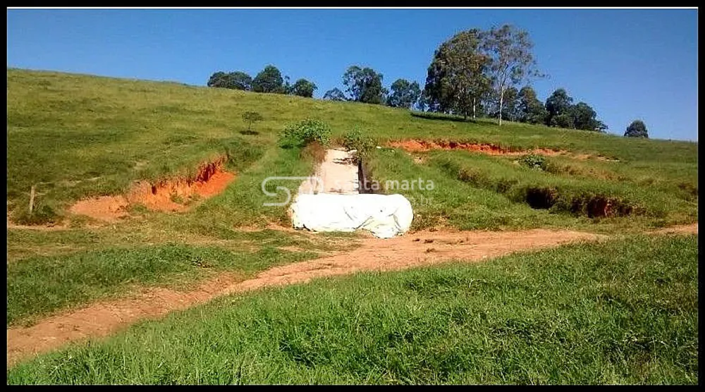 Fazenda, 317 hectares - Foto 12