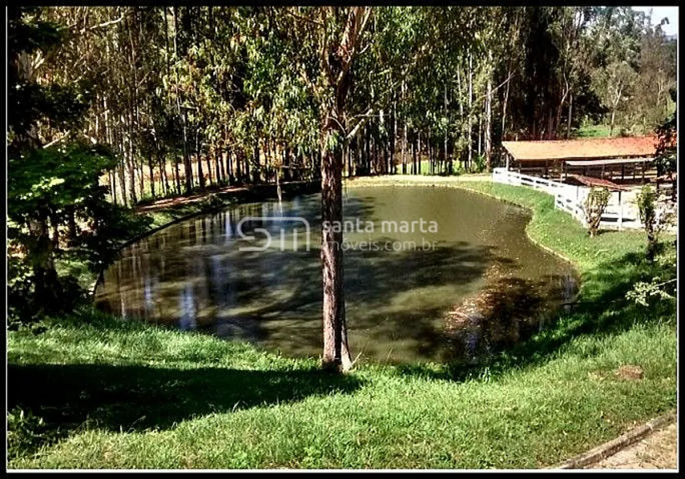 Fazenda, 317 hectares - Foto 4