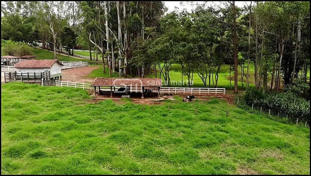 Fazenda, 317 hectares - Foto 3