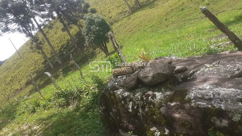Sítio, 1 quarto, 1 hectares - Foto 7