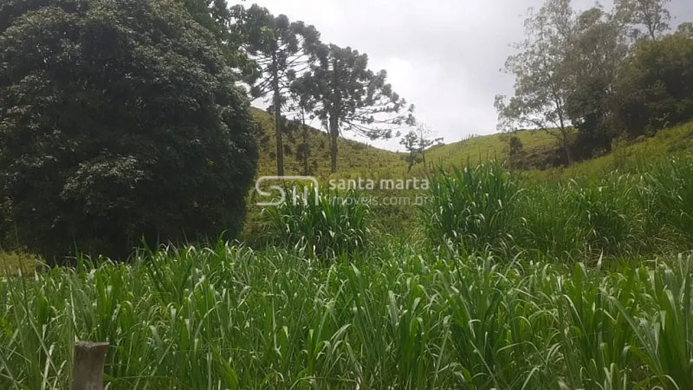 Sítio, 1 quarto, 1 hectares - Foto 2