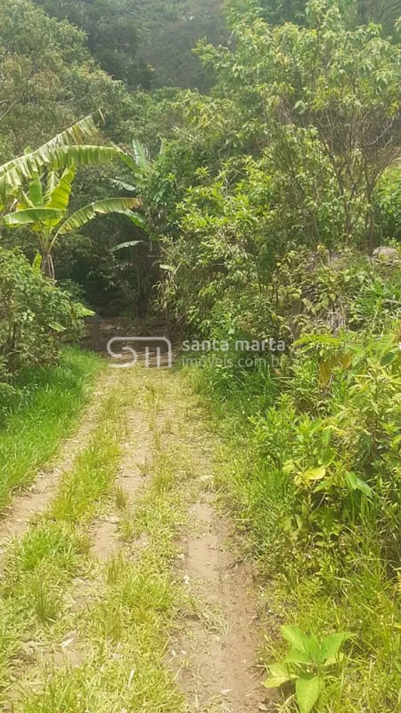 Sítio, 1 quarto, 1 hectares - Foto 4