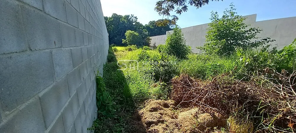 Terreno, 3750 m² - Foto 3