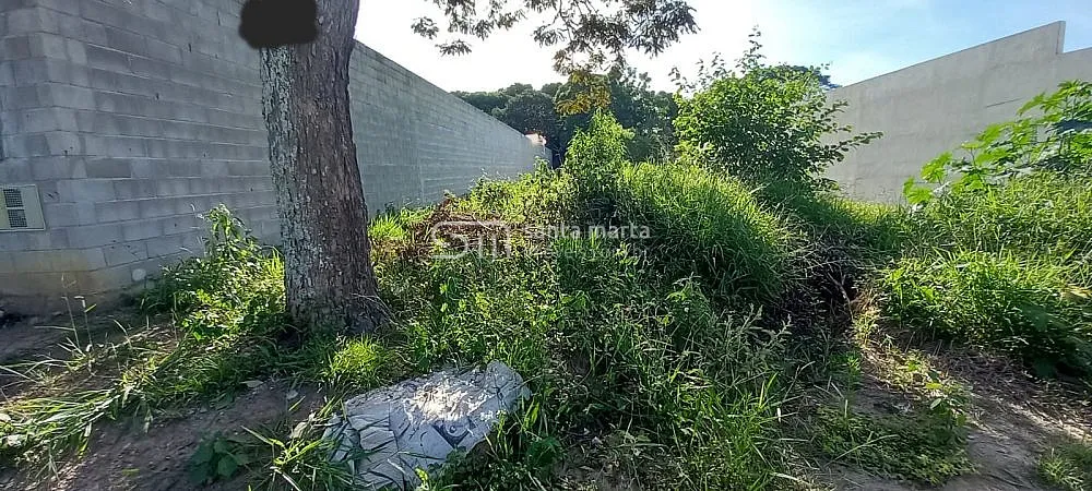 Terreno, 3750 m² - Foto 4