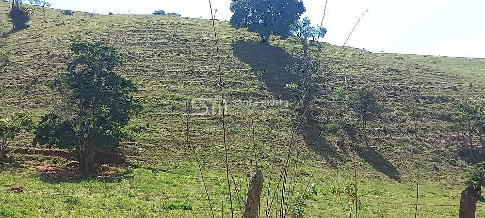 Sítio, 2 hectares - Foto 1