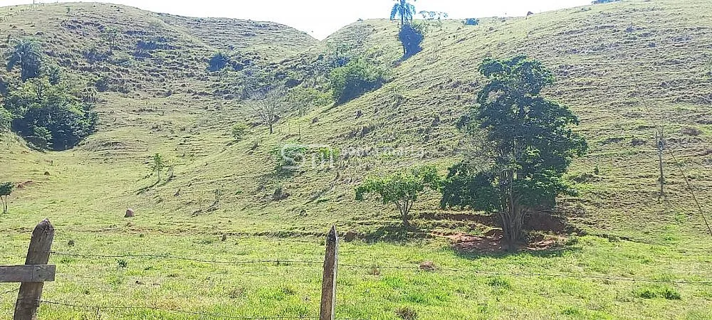 Sítio, 2 hectares - Foto 8