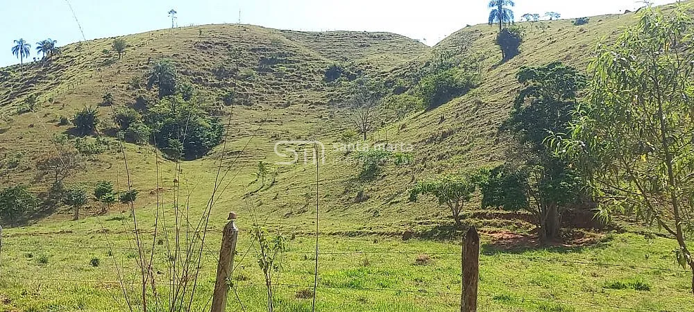 Sítio, 2 hectares - Foto 3