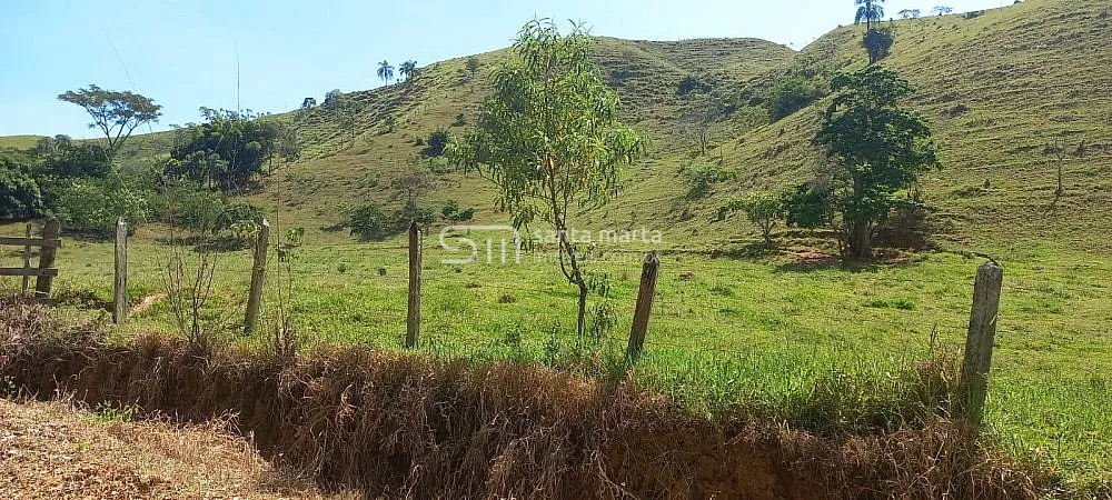 Sítio, 2 hectares - Foto 6