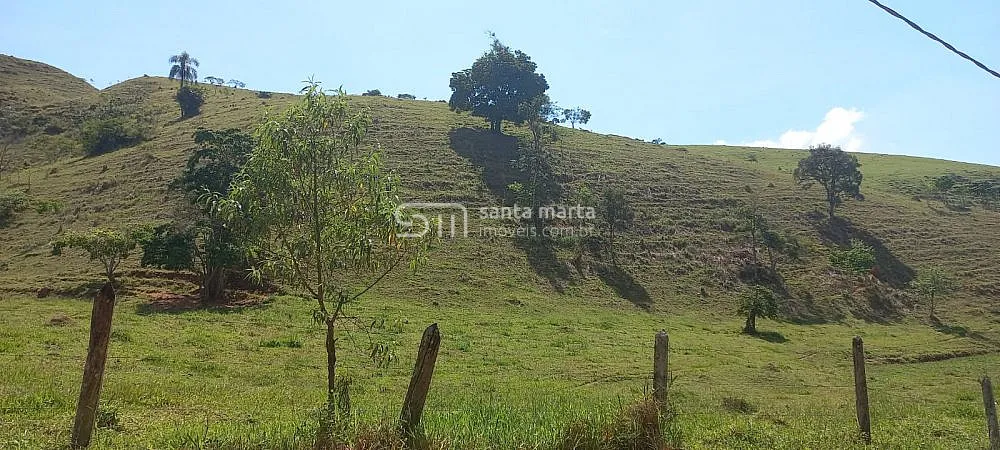 Sítio, 2 hectares - Foto 4