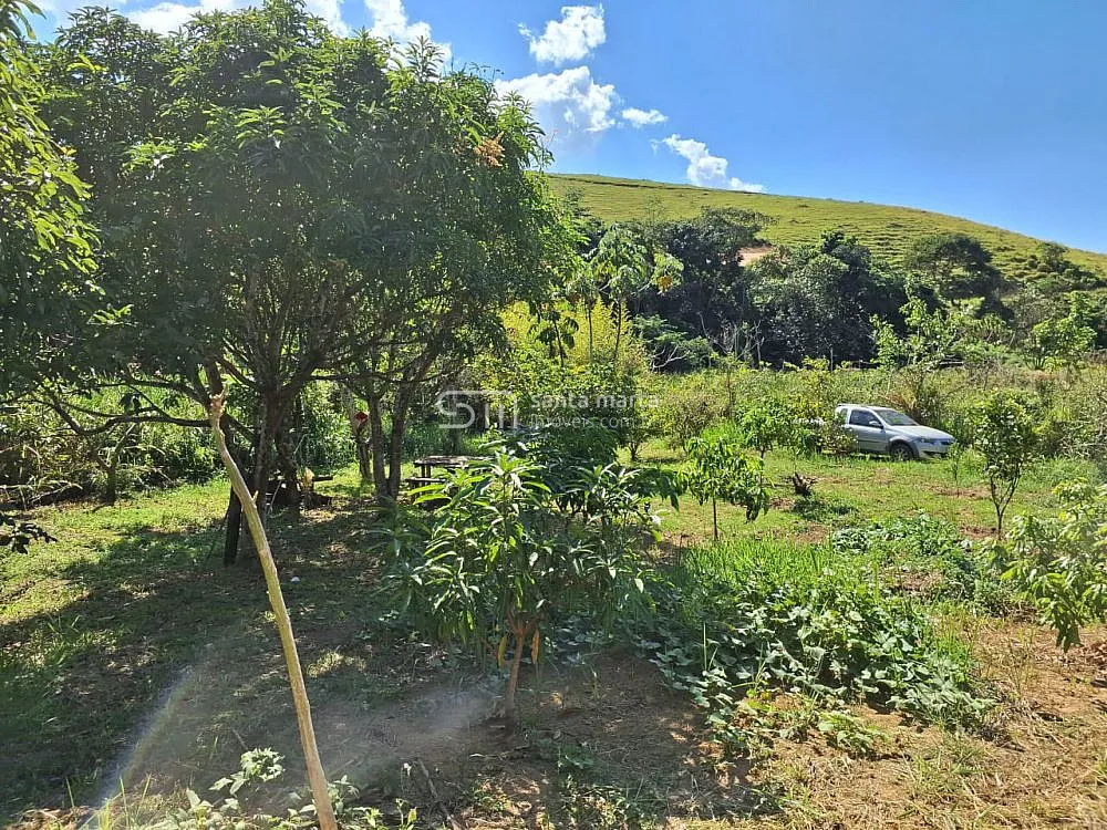 Sítio, 2 hectares - Foto 8