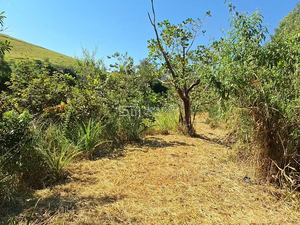 Sítio, 2 hectares - Foto 1