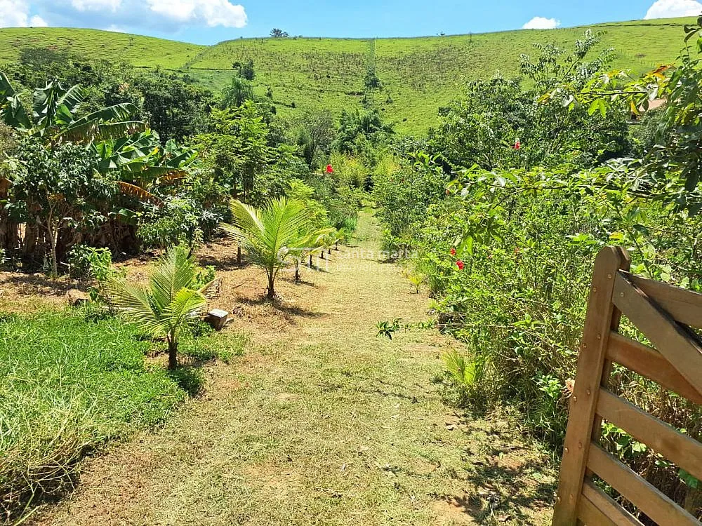Sítio, 2 hectares - Foto 2