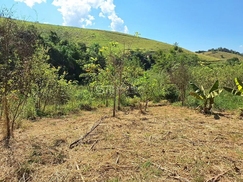 Sítio, 2 hectares - Foto 4