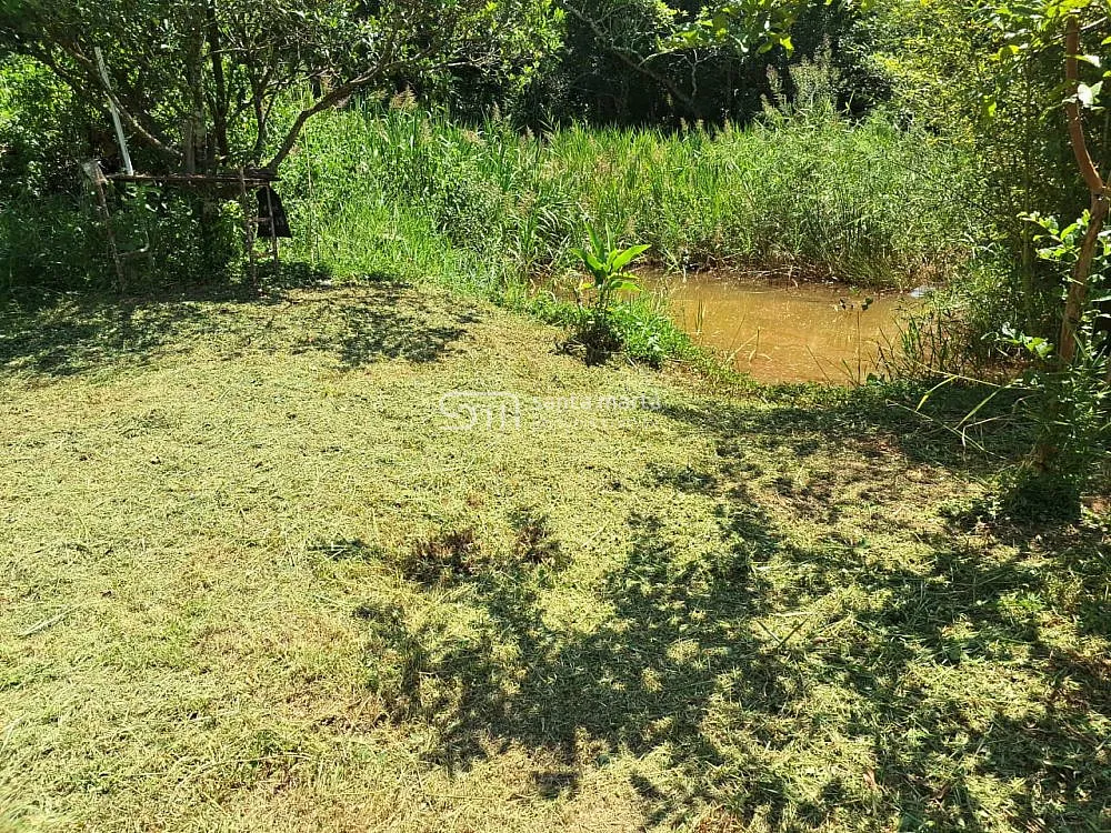 Sítio, 2 hectares - Foto 10