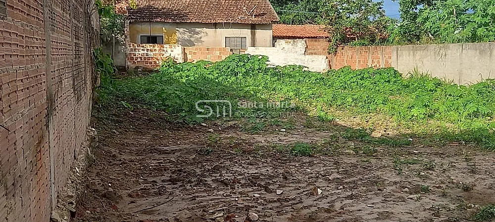 Terreno, 3750 m² - Foto 5
