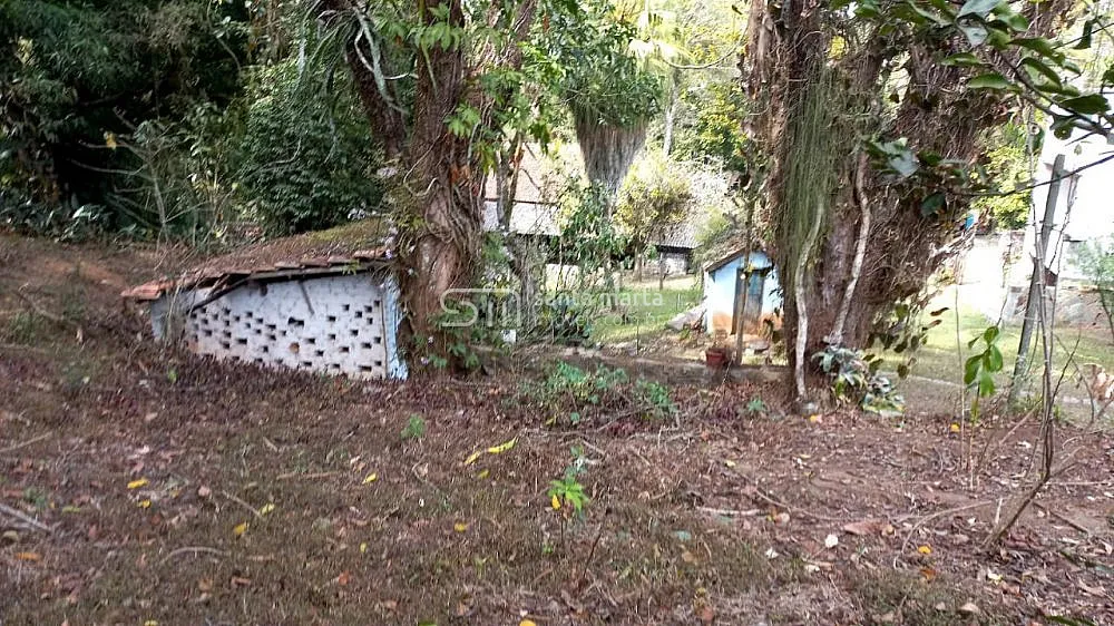Sítio, 5 quartos, 4 hectares - Foto 5