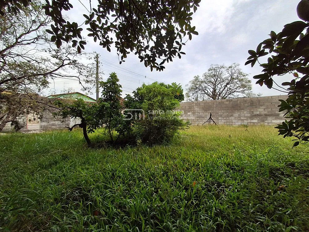 Terreno, 3750 m² - Foto 8