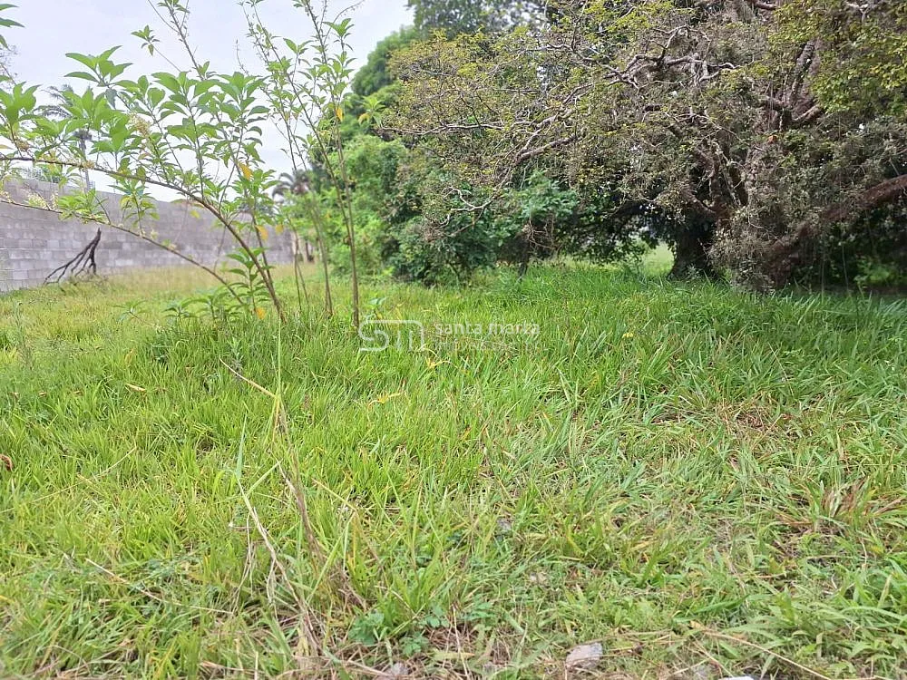 Terreno, 3750 m² - Foto 4