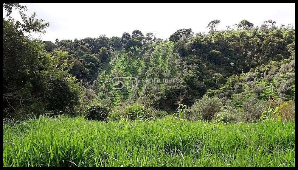 Fazenda, 19 hectares - Foto 9