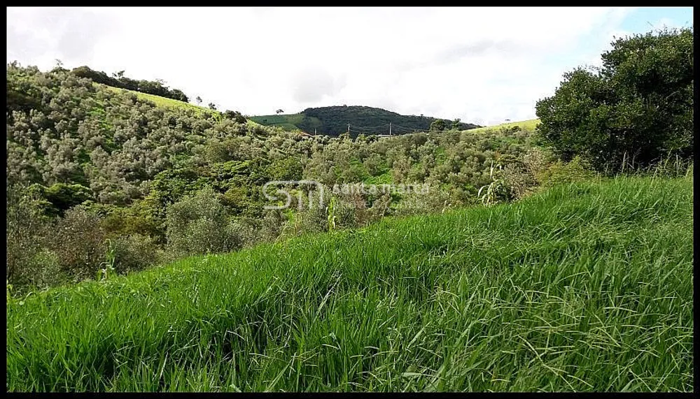 Fazenda, 19 hectares - Foto 1