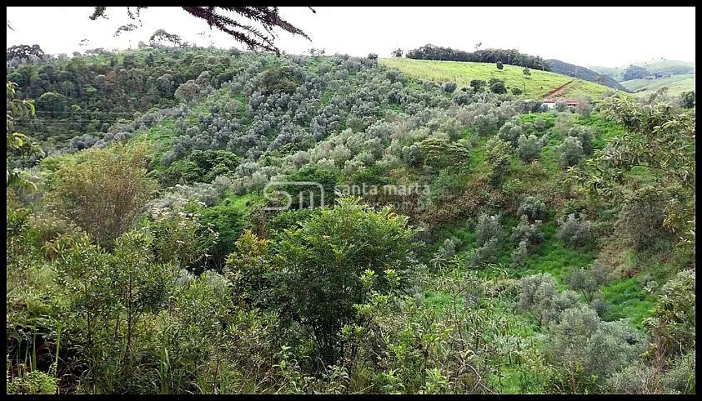 Fazenda, 19 hectares - Foto 6