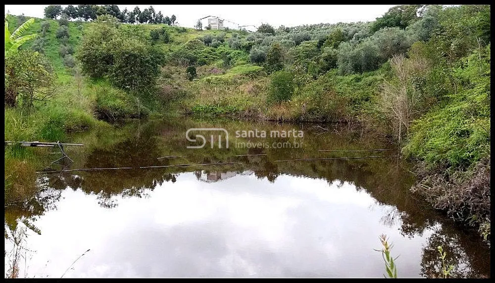 Fazenda, 19 hectares - Foto 2