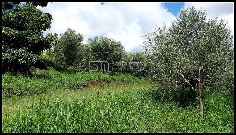 Fazenda, 19 hectares - Foto 11