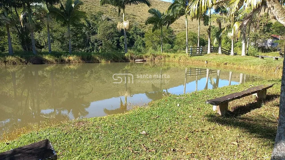 Fazenda, 216 hectares - Foto 4