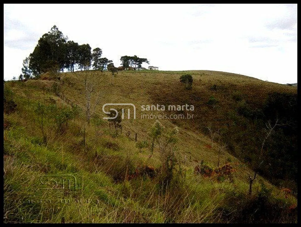 Terreno, 24 hectares - Foto 5