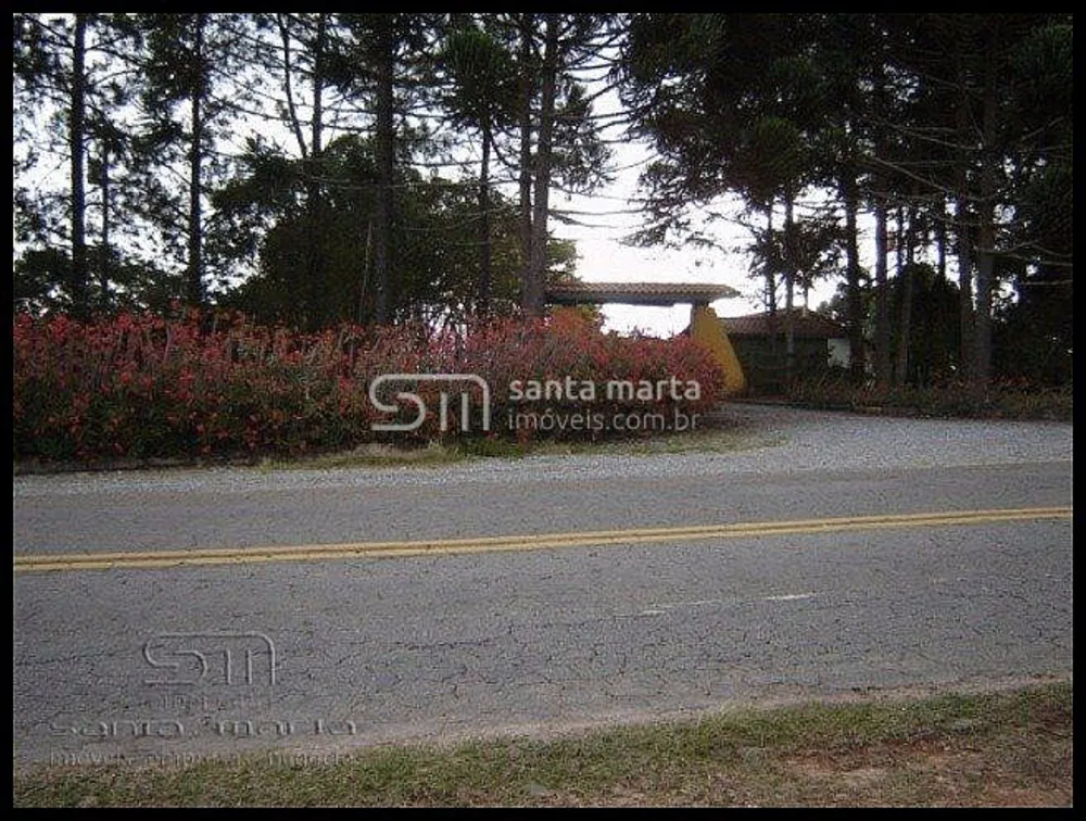 Terreno, 24 hectares - Foto 17