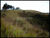 Terreno, 24 hectares - Foto 5