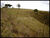 Terreno, 24 hectares - Foto 7