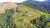 Sítio, 3 quartos, 51 hectares - Foto 15