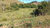 Fazenda, 216 hectares - Foto 2