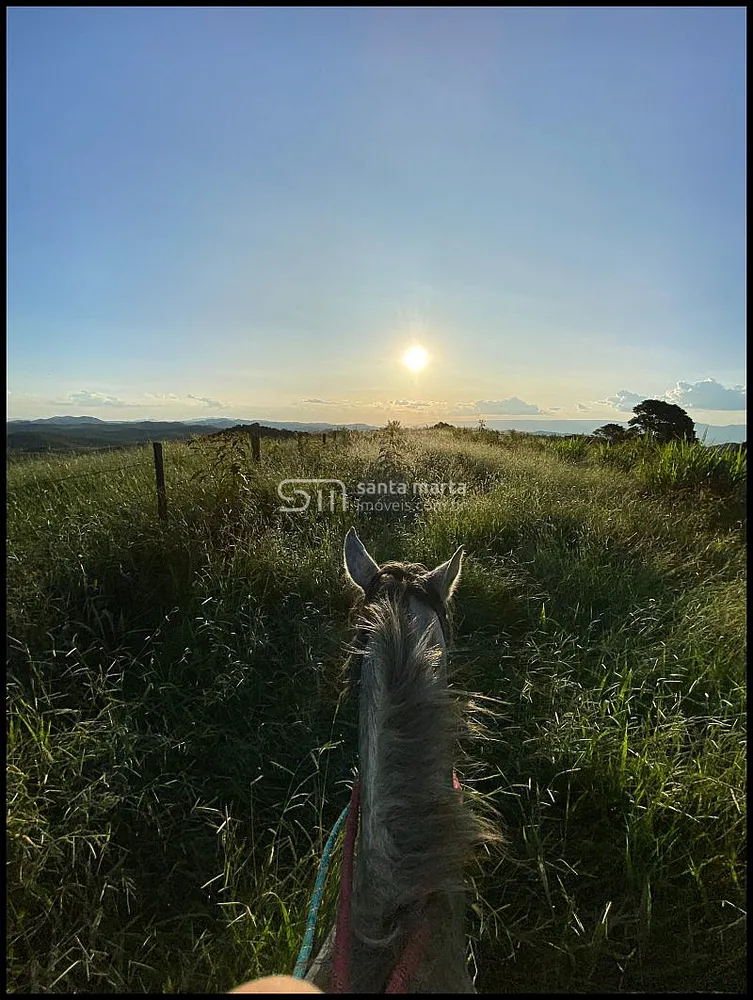 Fazenda, 116 hectares - Foto 8