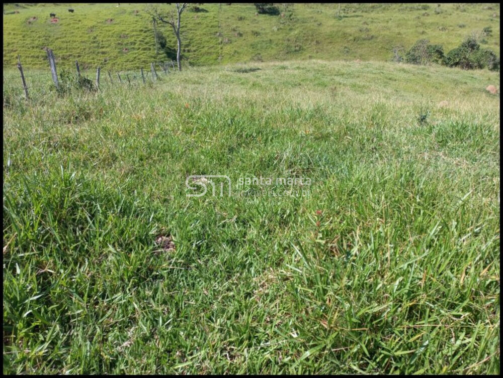 Fazenda à venda com 1 quarto, 24m² - Foto 8