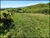 Fazenda-Sítio-Chácara, 28 hectares - Foto 10