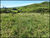 Fazenda-Sítio-Chácara, 28 hectares - Foto 19