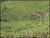 Fazenda-Sítio-Chácara, 28 hectares - Foto 4