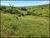 Fazenda-Sítio-Chácara, 28 hectares - Foto 17