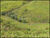 Fazenda-Sítio-Chácara, 28 hectares - Foto 12