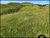 Fazenda-Sítio-Chácara, 28 hectares - Foto 14