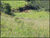 Fazenda-Sítio-Chácara, 28 hectares - Foto 16