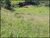 Fazenda-Sítio-Chácara, 28 hectares - Foto 20