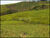 Fazenda-Sítio-Chácara, 28 hectares - Foto 7