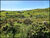 Fazenda-Sítio-Chácara, 28 hectares - Foto 9
