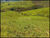 Fazenda-Sítio-Chácara, 28 hectares - Foto 1